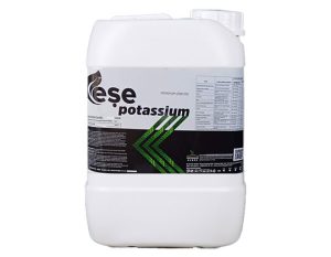 Eşe Potasyum (20 Lt)