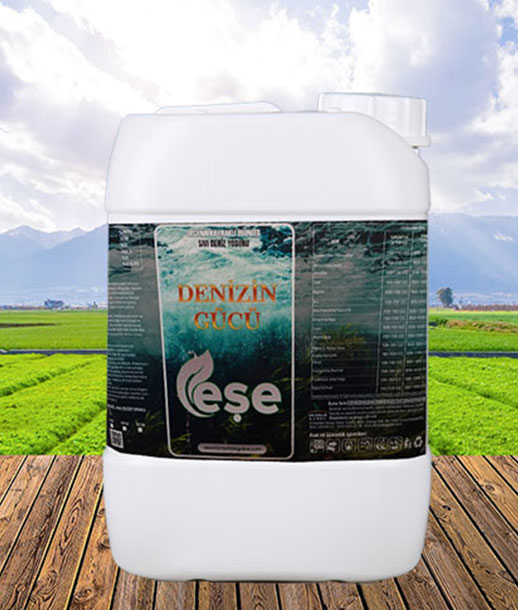 deniz-gücü-ürün-içeirk