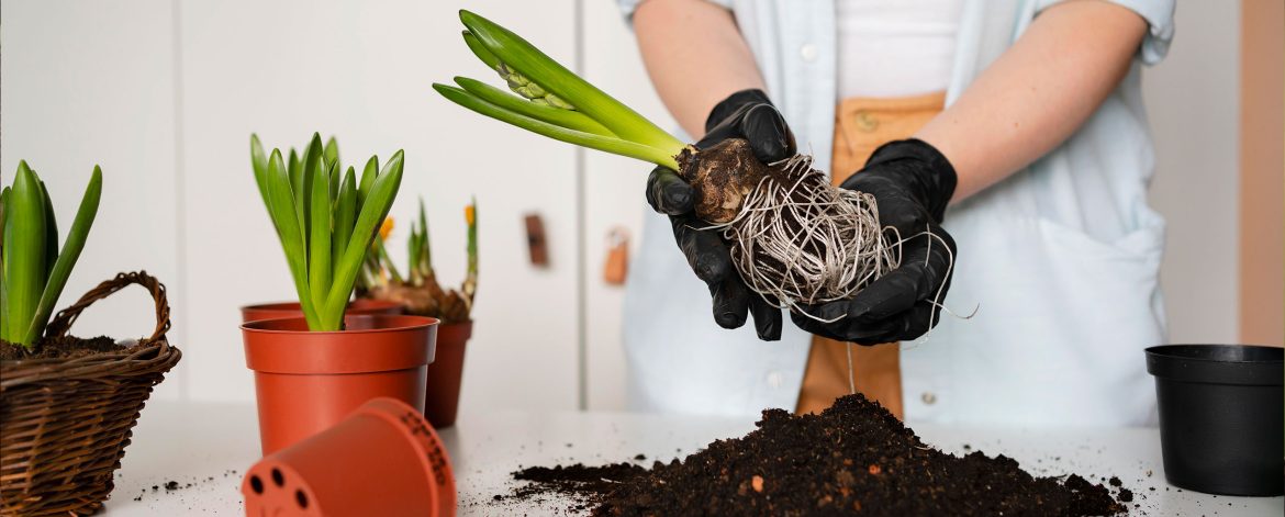 kimyasal-gübre-blog