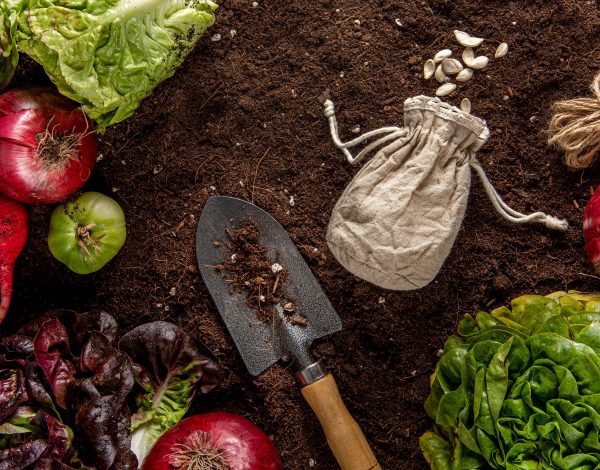 organikgübre--blog organikgübre--blog